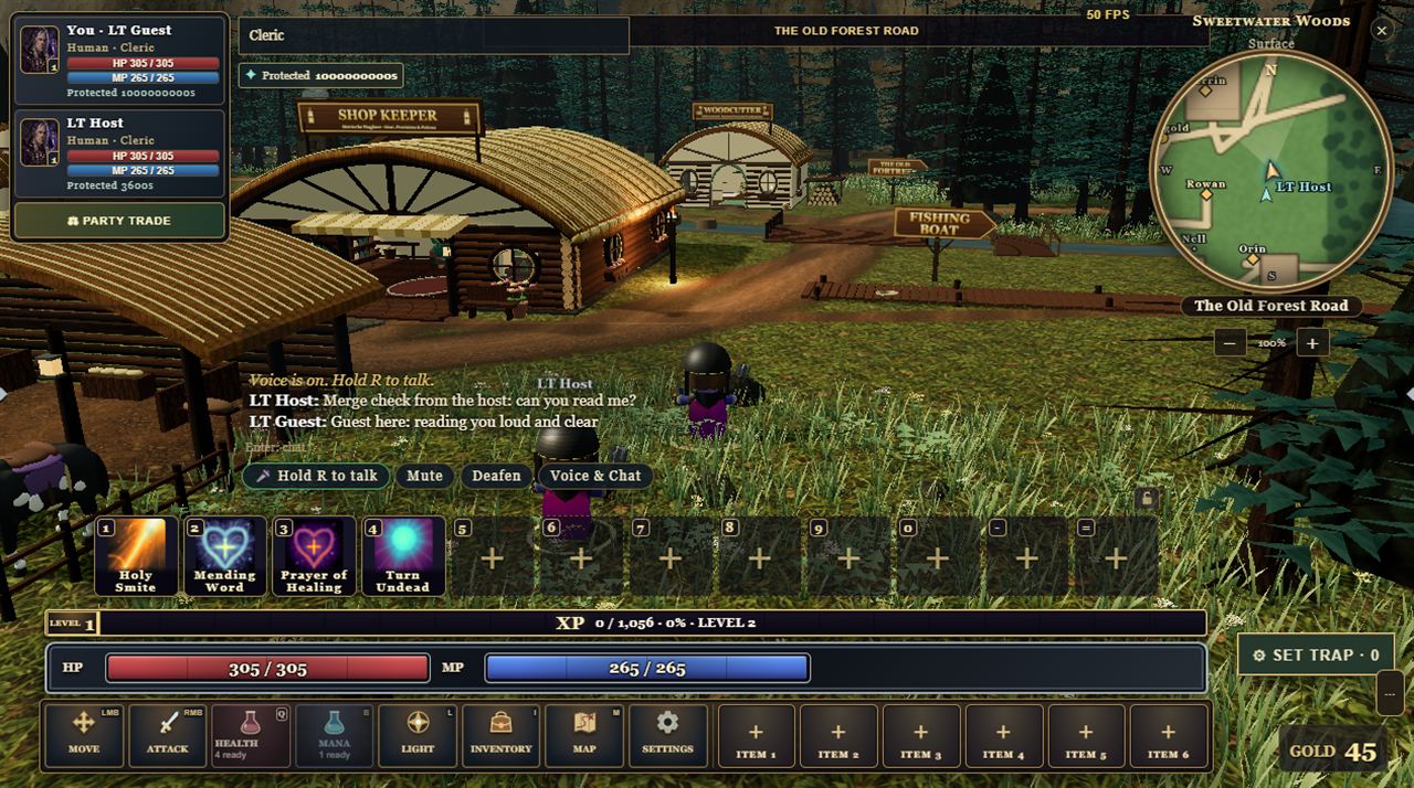 Two players in the village with name plates over their heads and the party chat open